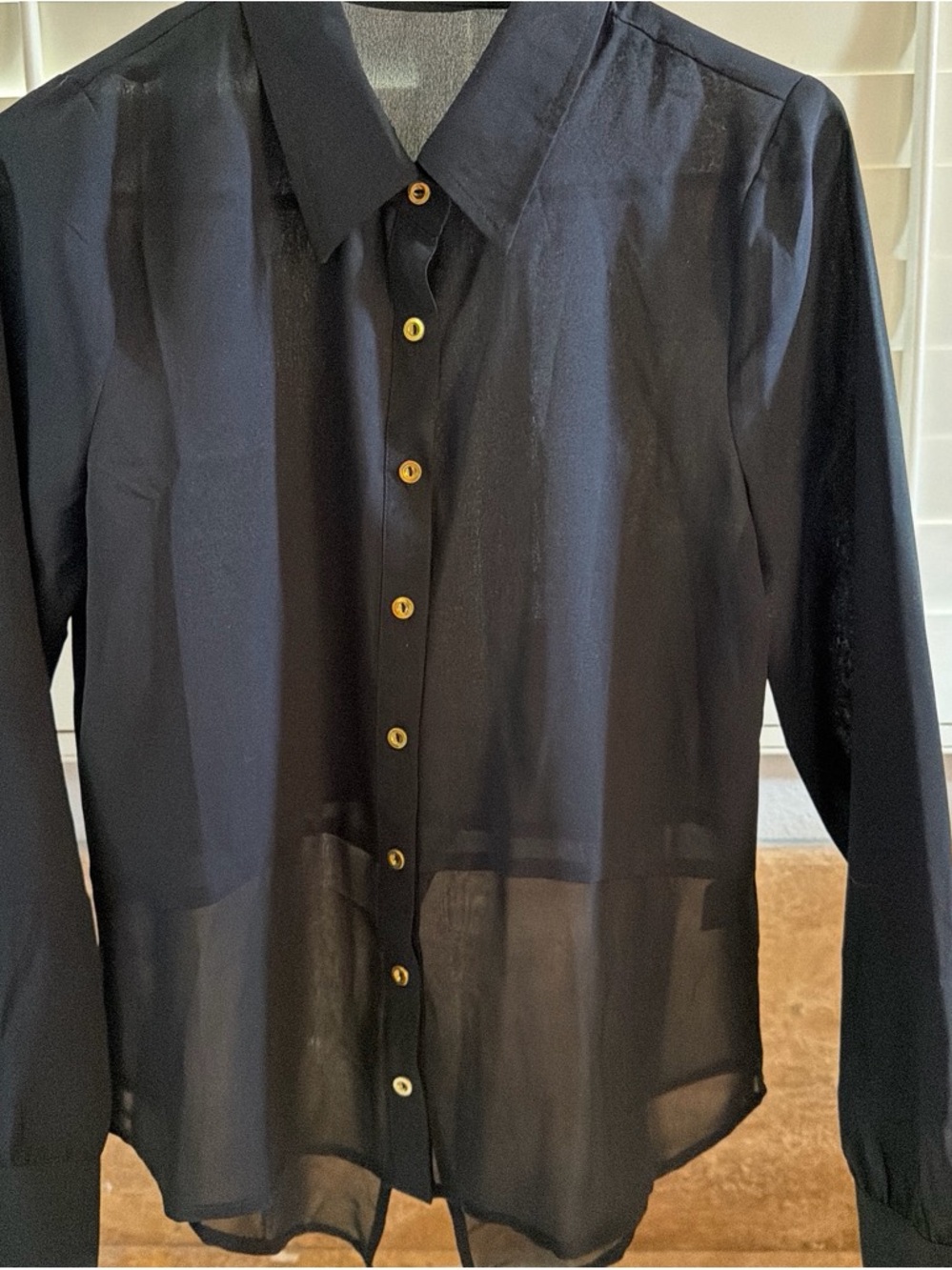 Blu Pepper Sheer Black Button-Up Blouse m long sleeves with gold buttons